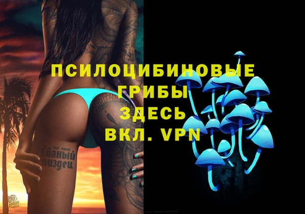 дмт Белокуриха
