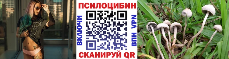 shop как зайти  MEGA tor  Кстово  Галлюциногенные грибы мухоморы 